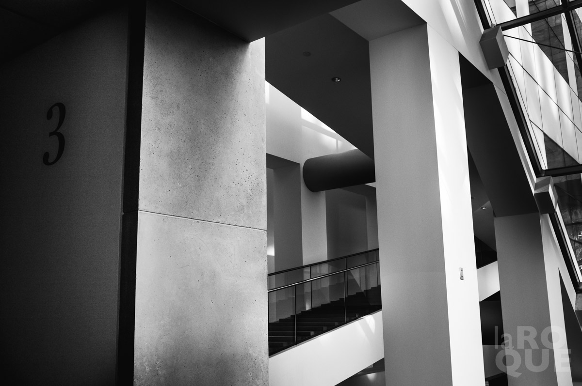 LAROQUE-exhibition-07.jpg