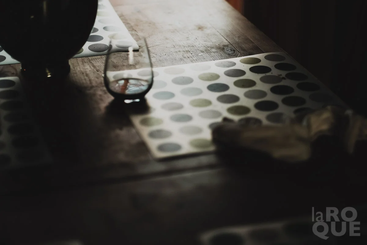 LAROQUE-curated-02.jpg