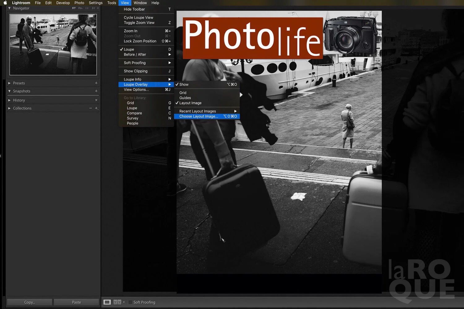 Hidden away: Lightroom's Loupe Overlay used to visualize various cover possibilities.