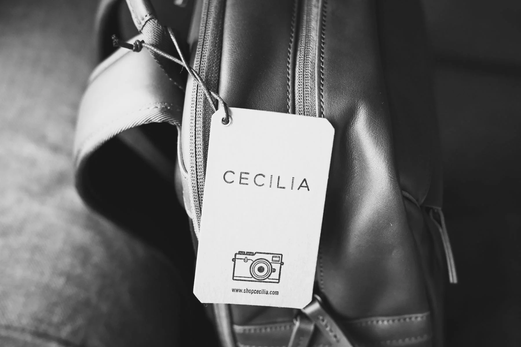 cecilia camera bags
