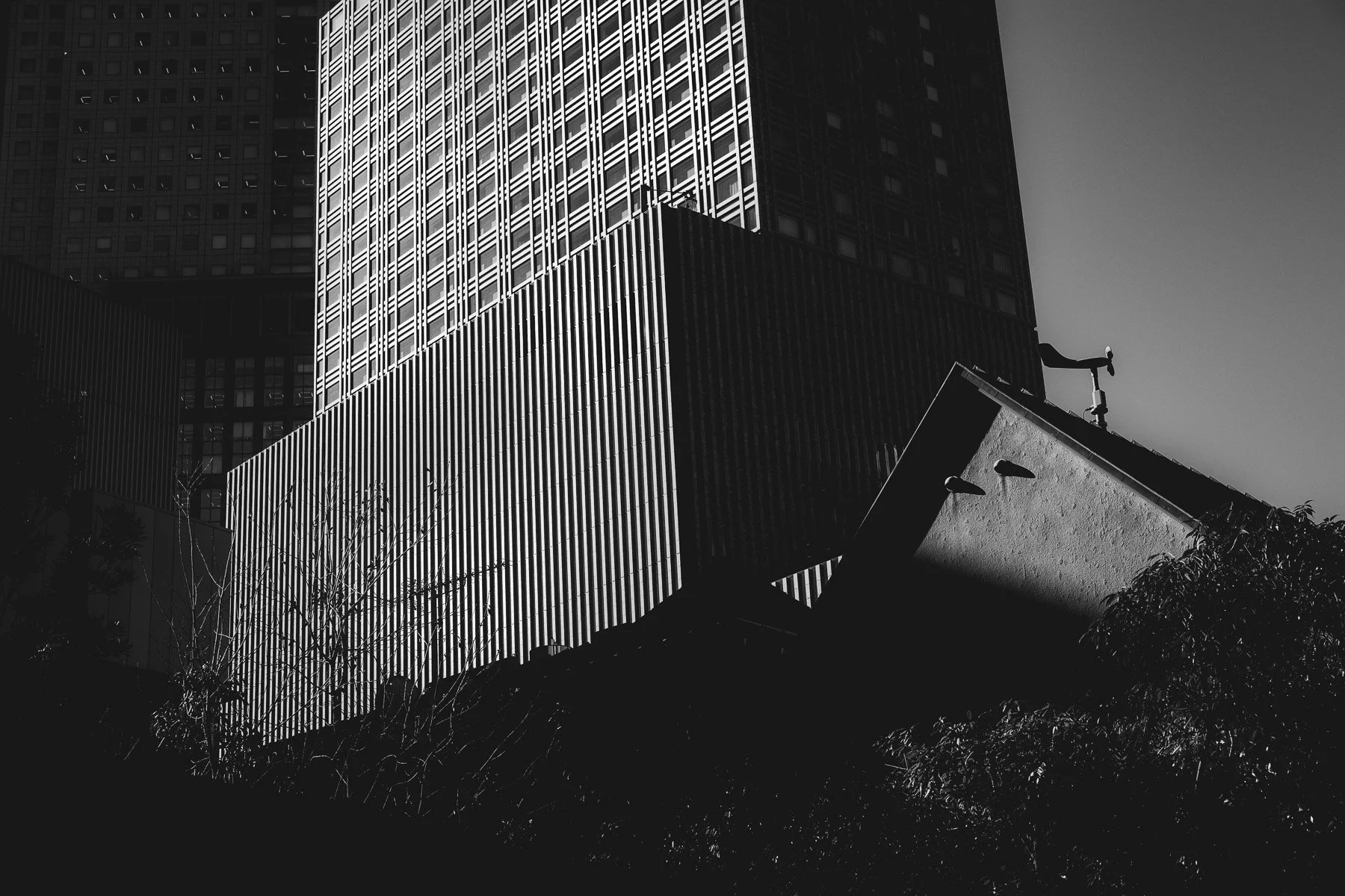 laROQUE-tokyo-003.jpg (Copy)