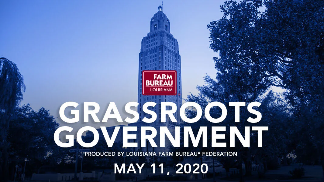 Grassroots Government - 5-11-20