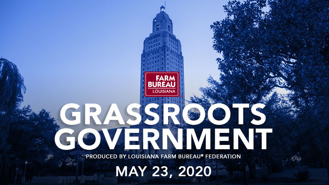Grassroots Government - 5-23-20