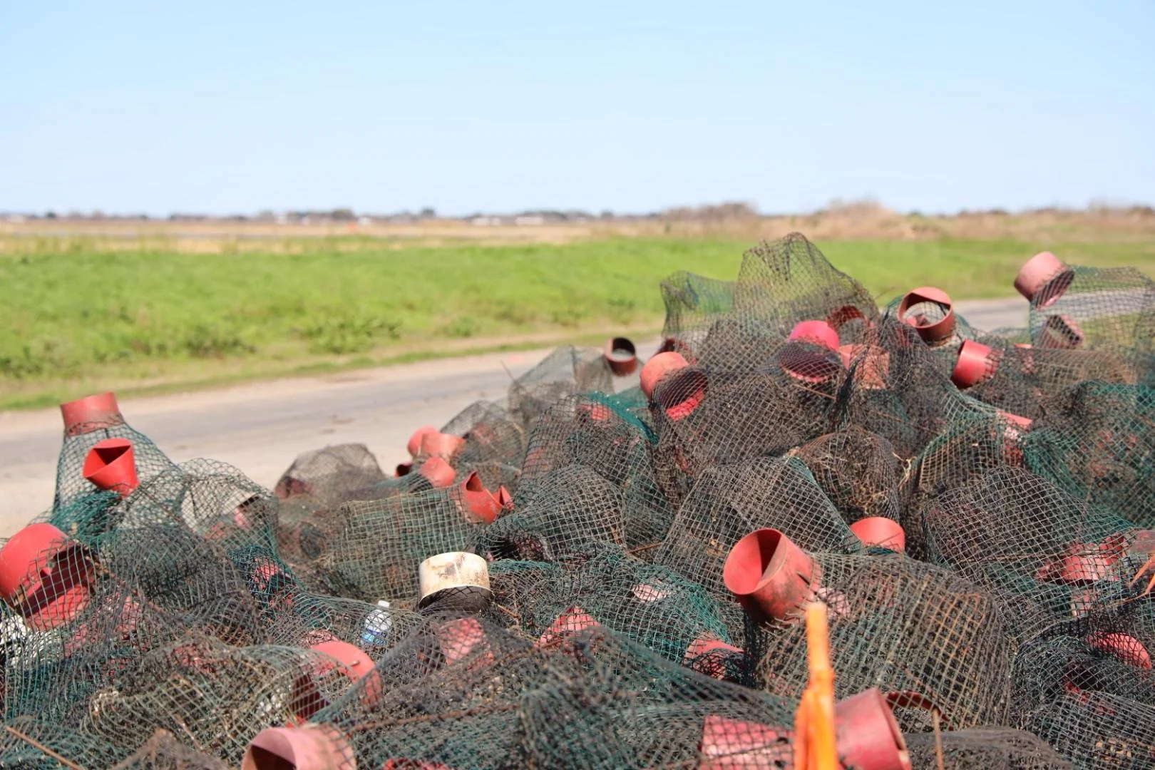A Cold Start to the 2024 Crawfish Season