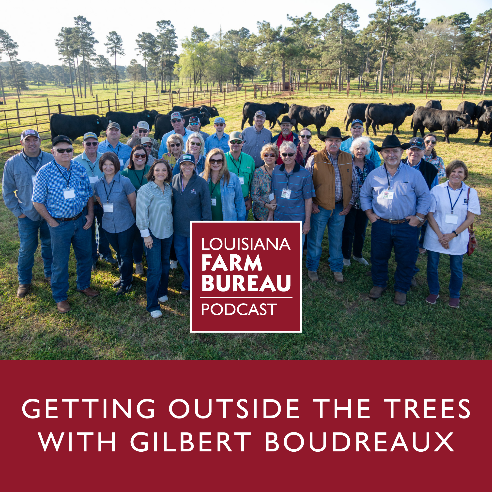 Getting Outside the Trees with Gilbert Boudreaux