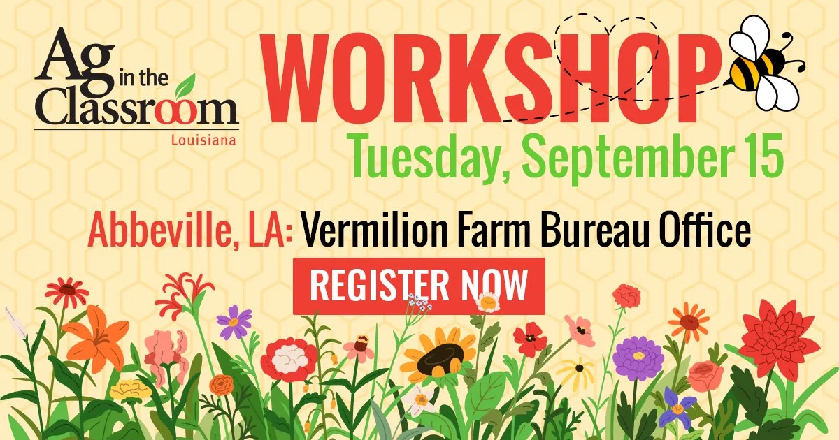 Abbeville AITC Workshop
