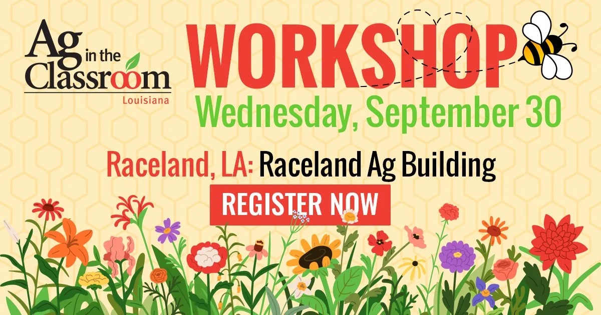 Raceland AITC Workshop