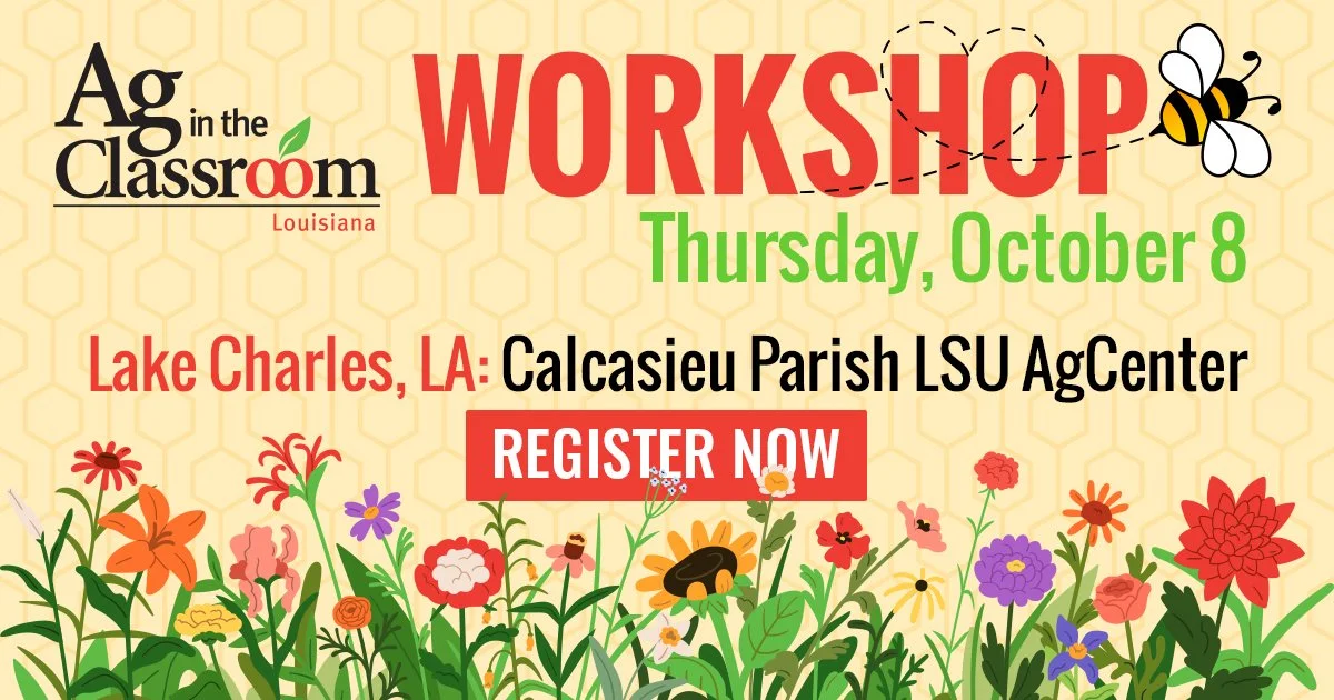 Lake Charles AITC Workshop