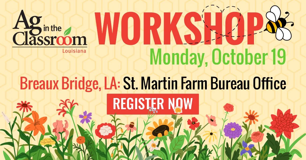 Breaux Bridge AITC Workshop