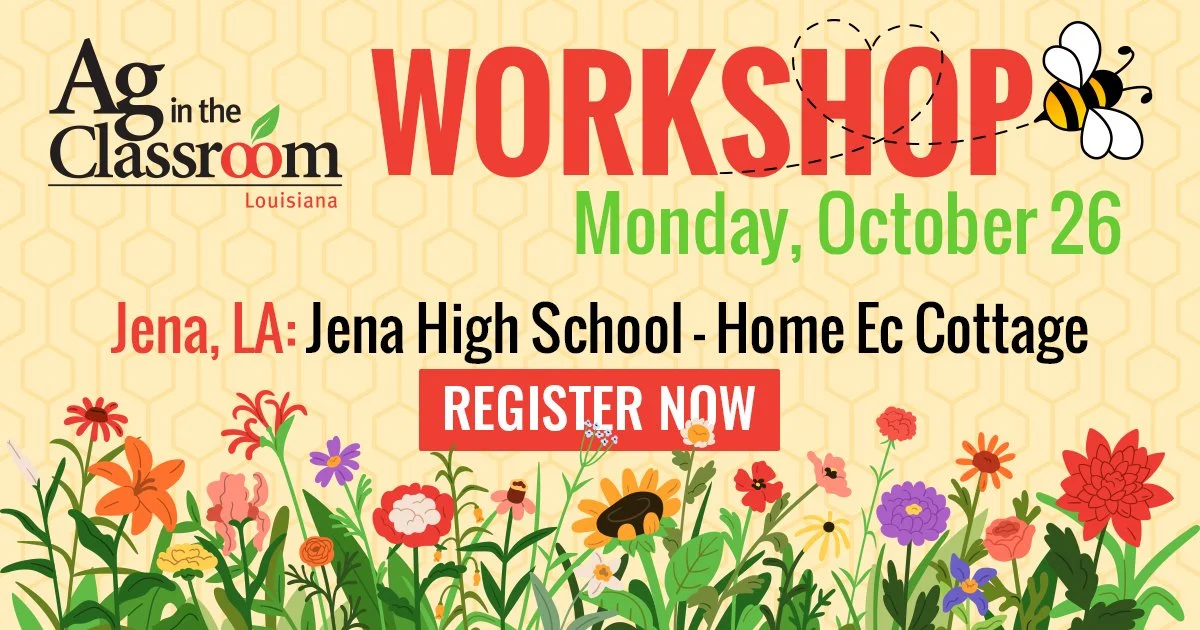 Jena AITC Workshop