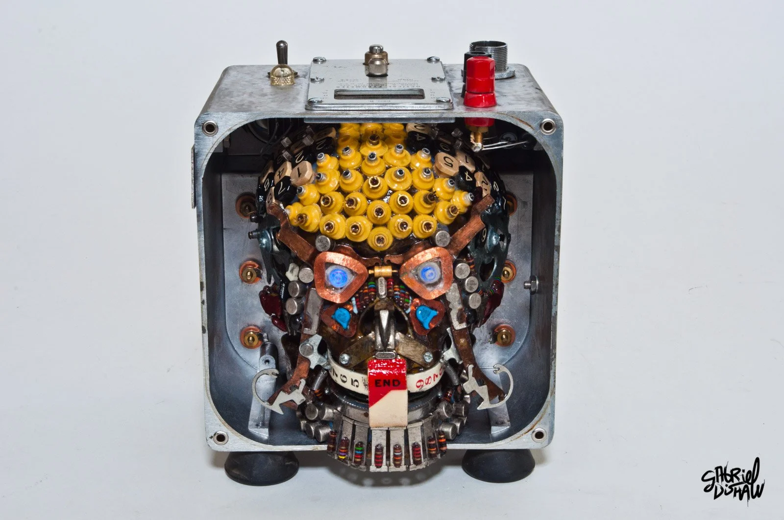 Gabriel-Dishaw-Decepticon-skull-upcycled-e-waste-skull-series--9.jpg