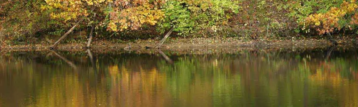 01SPCR Autumn 042.jpg