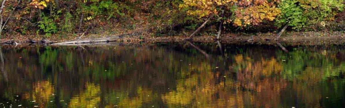 01SPCR Autumn 053-2.jpg