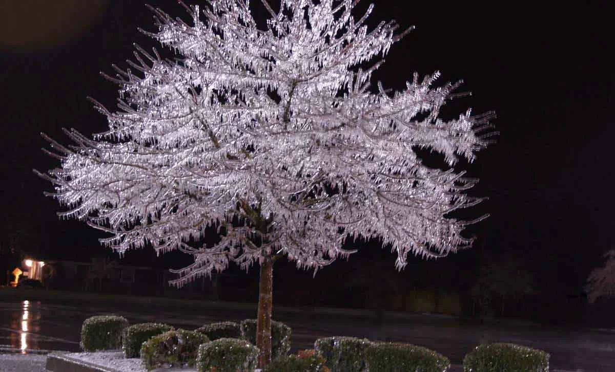 01SPCR Ice Storm 015.jpg