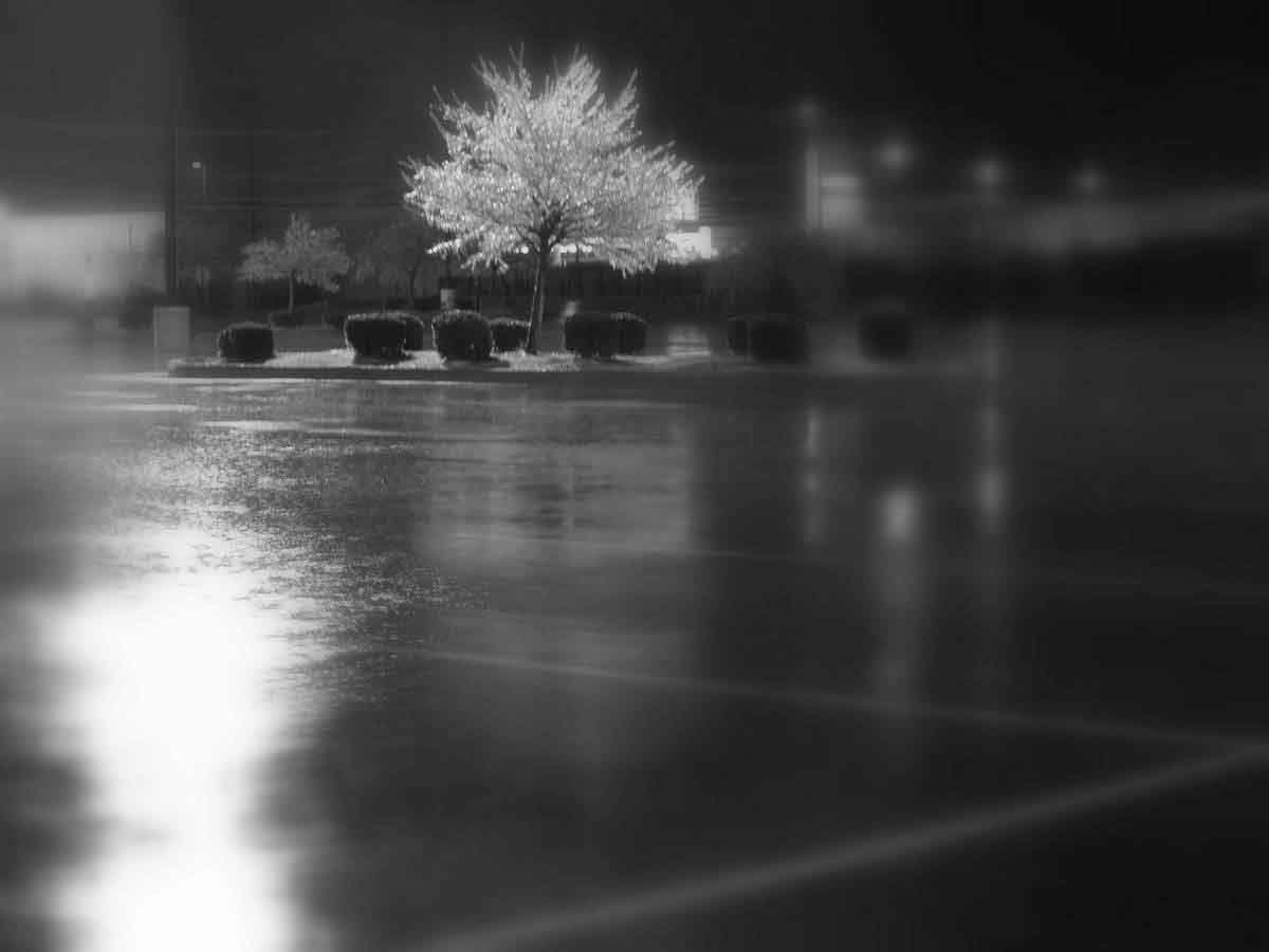 01SPCR Ice Storm 034-3.jpg