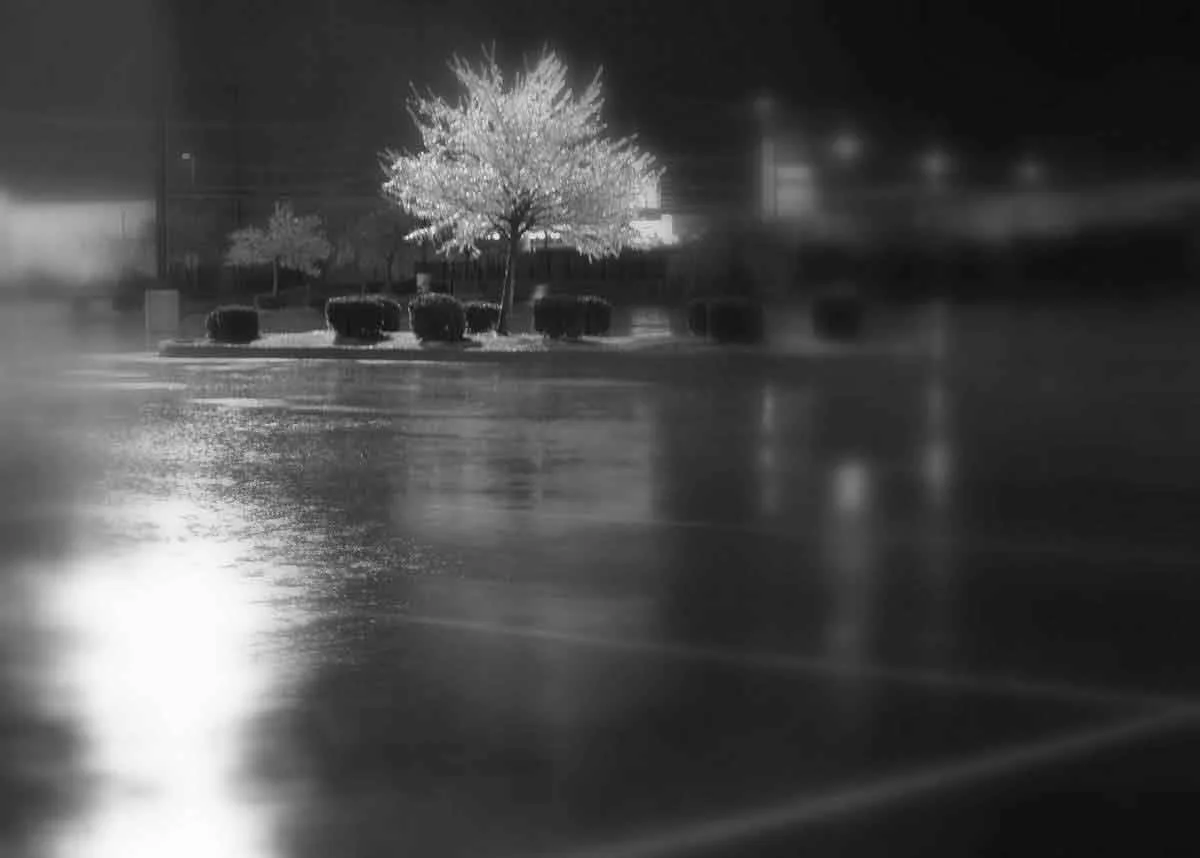 01SPCR Ice Storm 034-4.jpg