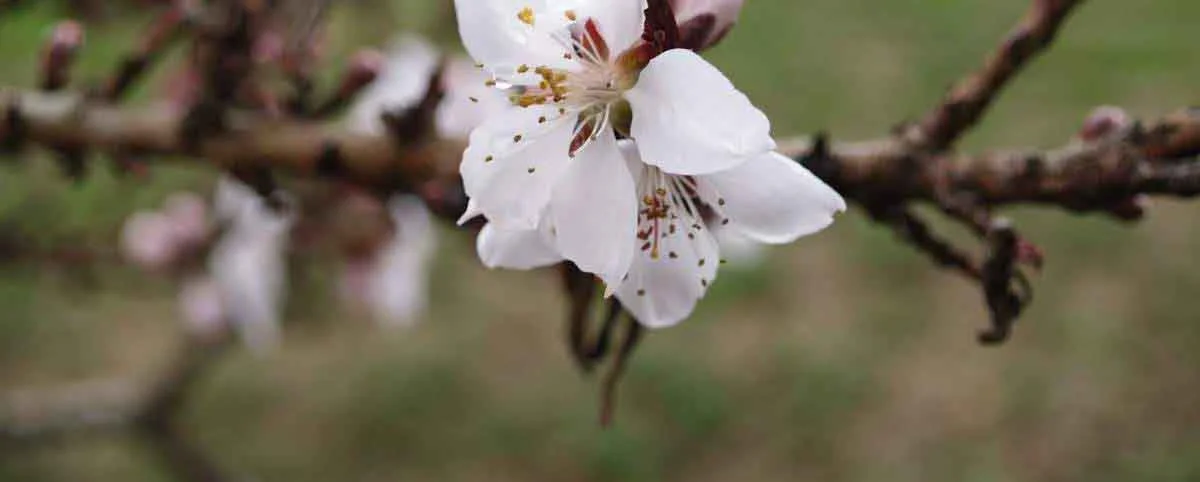 03.23.2007 037.jpg