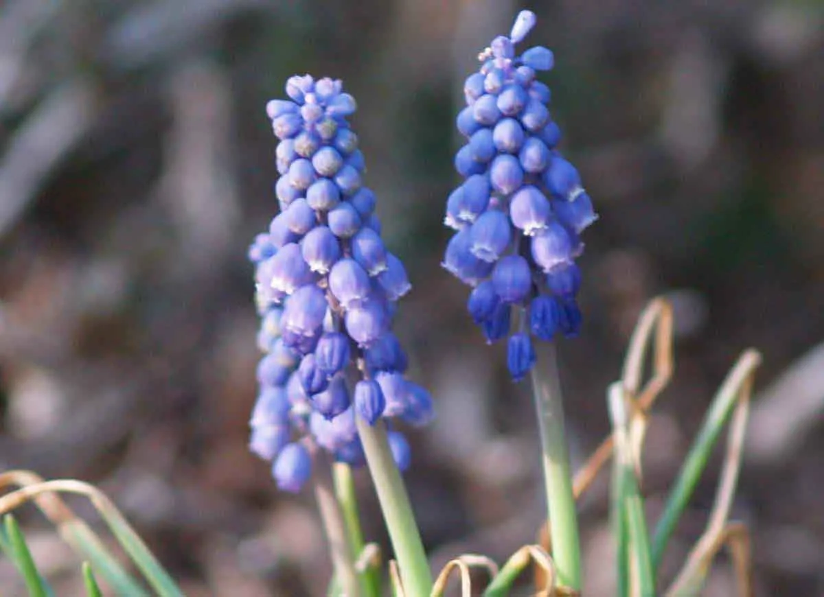 03.23.2007 143.jpg