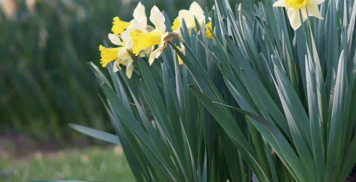 03.23.2007 154-1.jpg