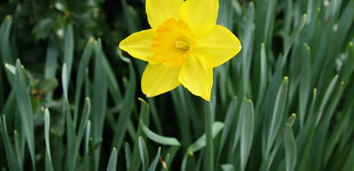03.23.2007 215.jpg
