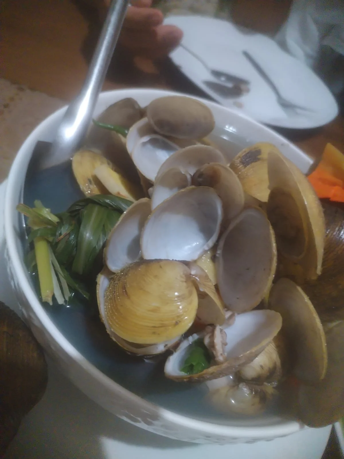 7ca0c11a-a742-4bb8-972d-70cc13ddde87.jpeg