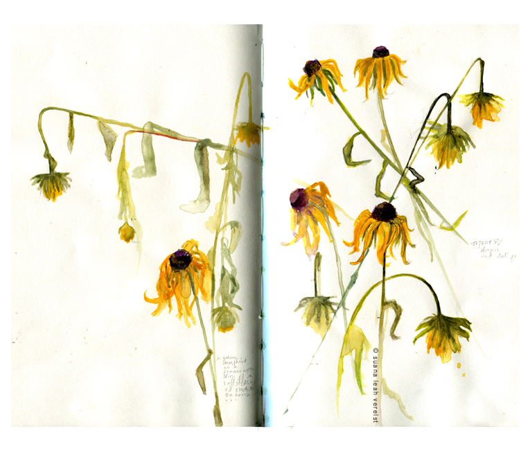 floral study