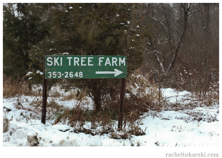 Ski Tree Farm-1.png