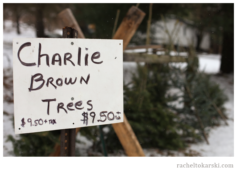 Ski Tree Farm-8.png
