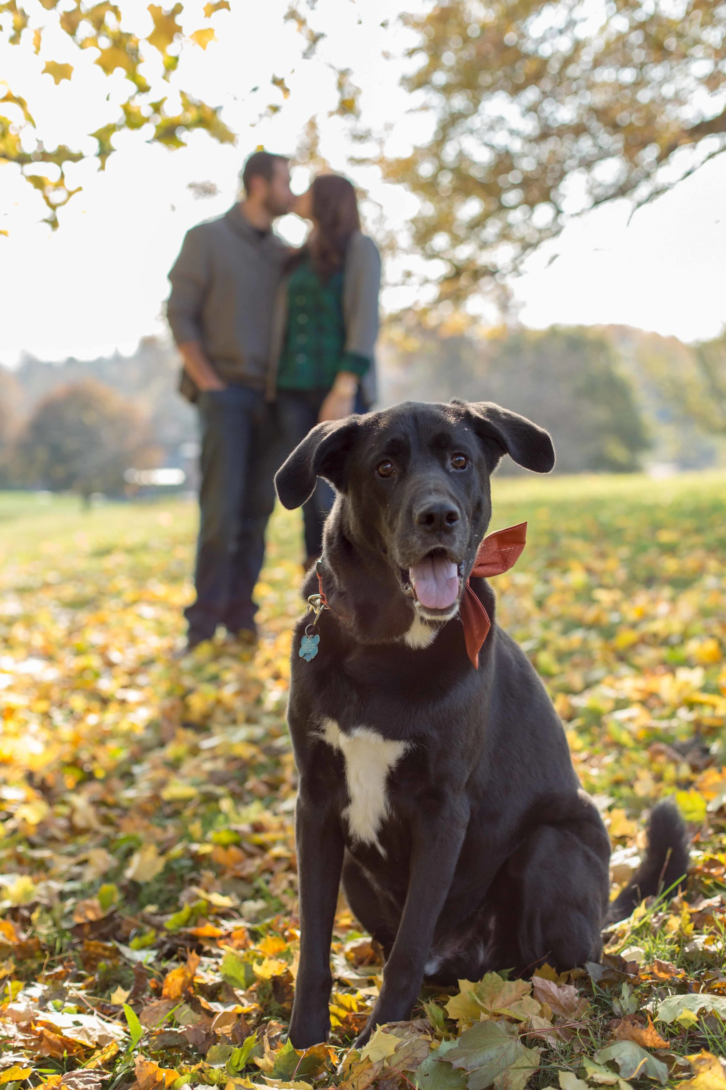 Pittsburgh-Family-Photos