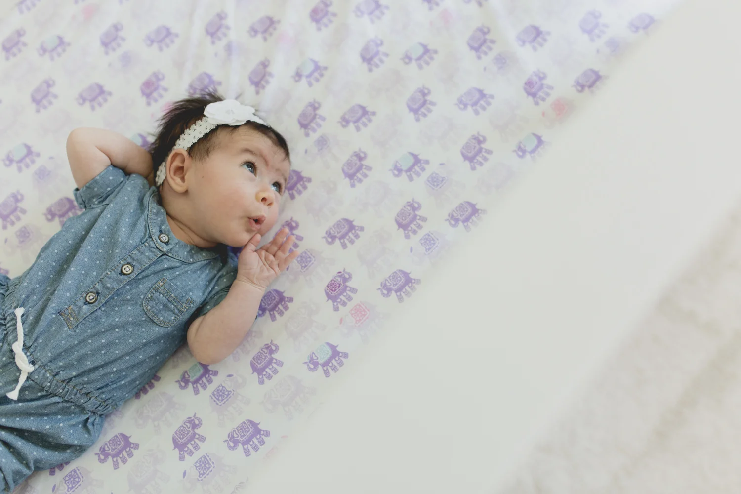 Hertzberg Family BLOG-2.jpg
