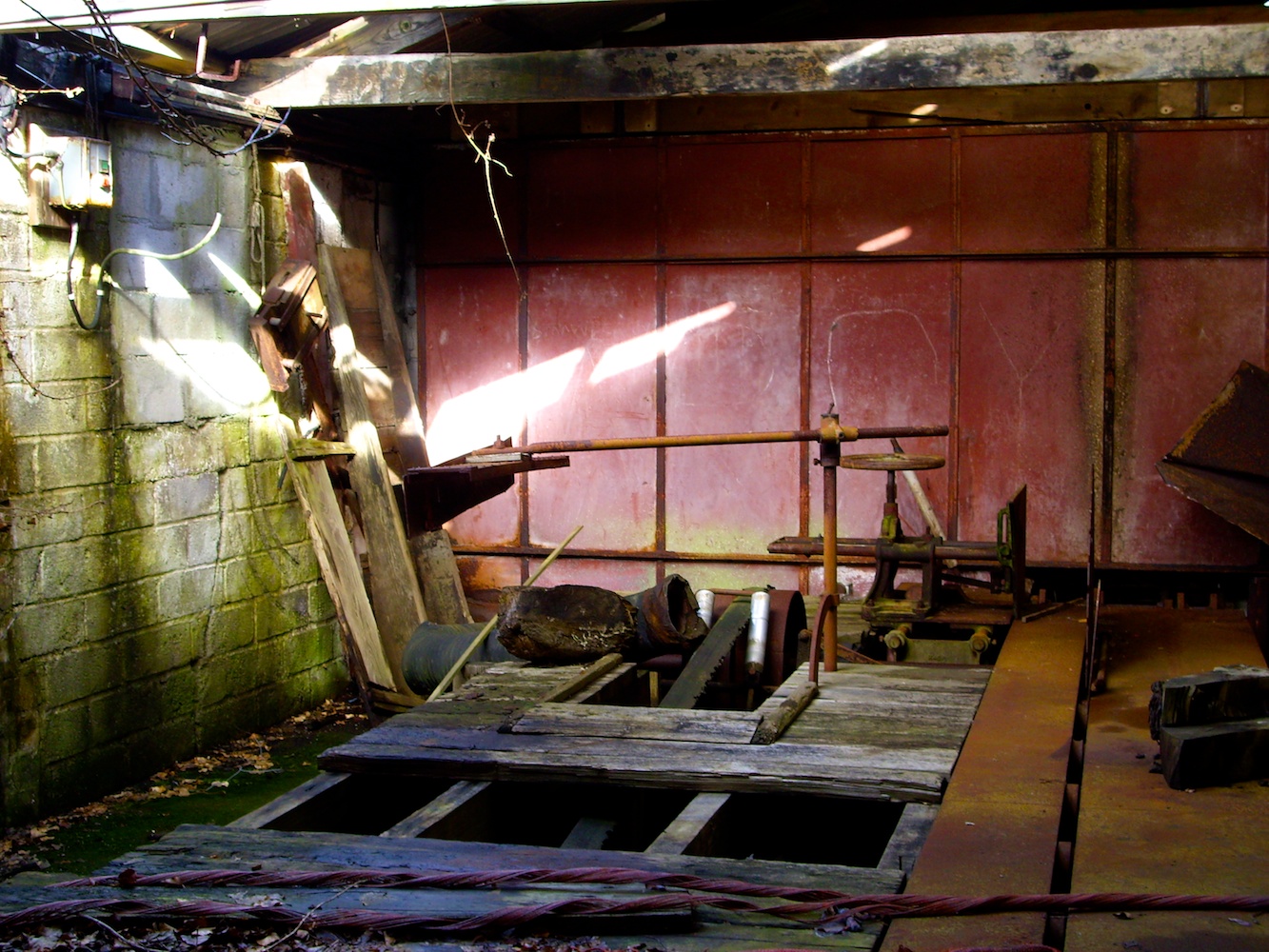 Site 2008 1.jpg