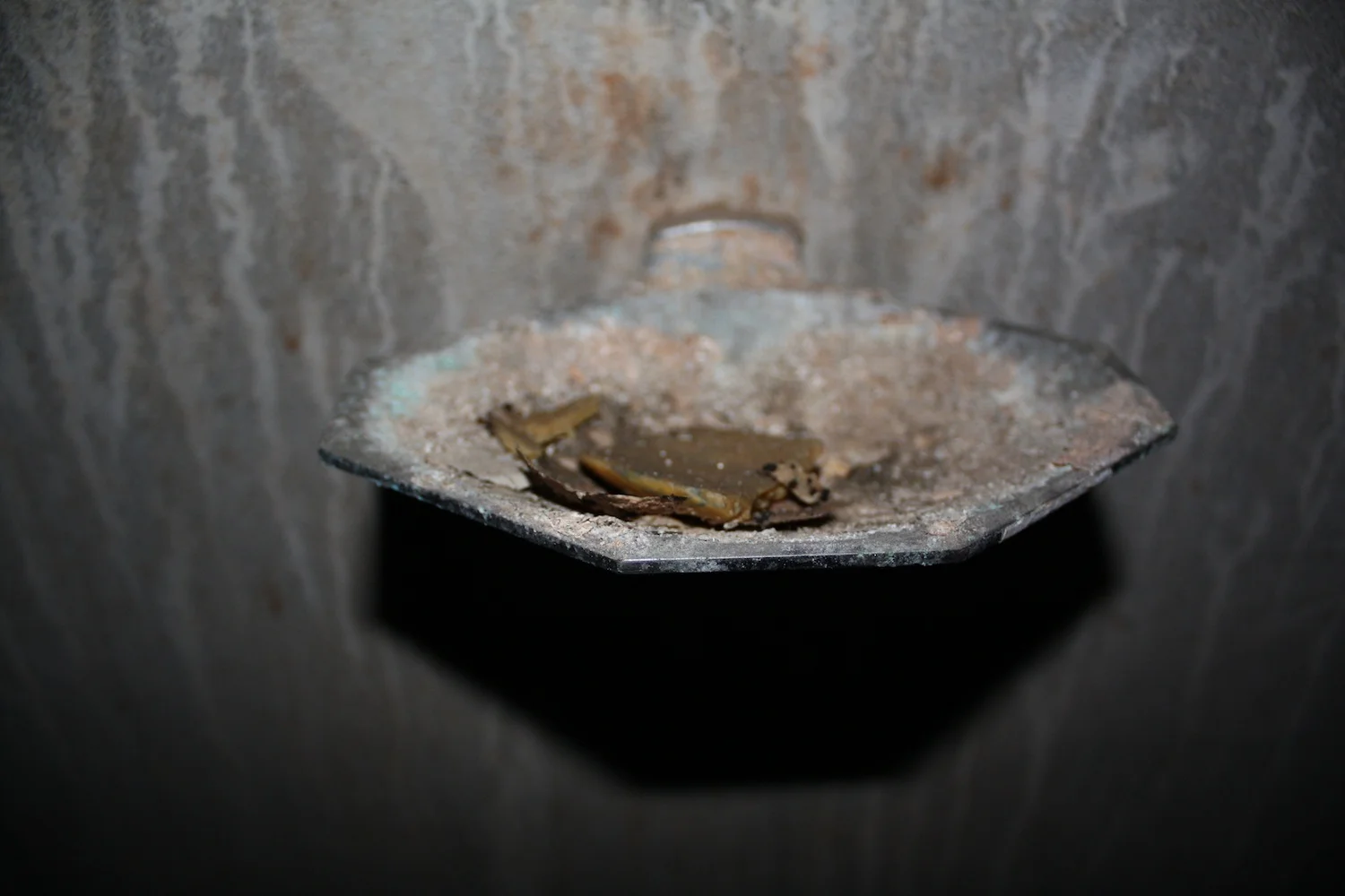 Site 2008 6.jpg