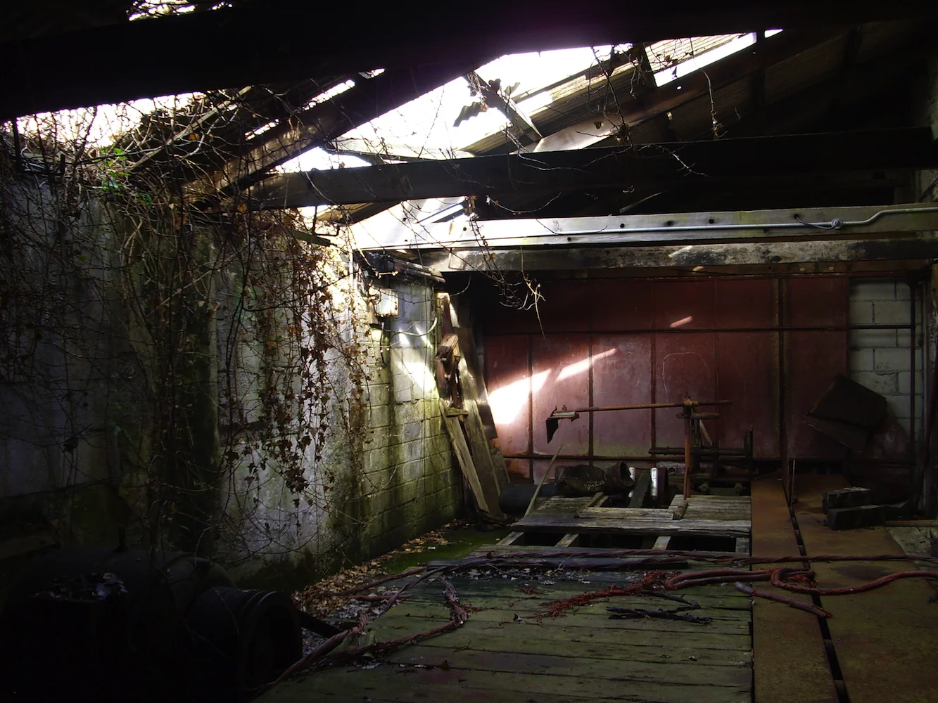 Heartlands 2008 2290.jpg