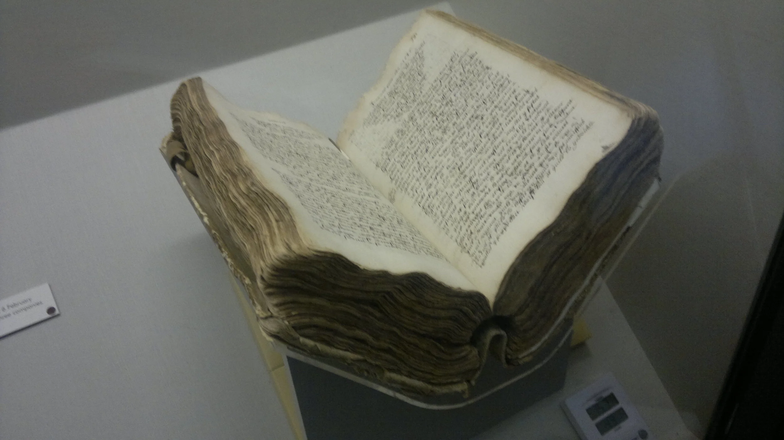  Jean Chevalier's&nbsp;1643-1651&nbsp;diary, somewhat blurred in low light. A blow by blow account of the English Civil War from an Island viewpoint. 