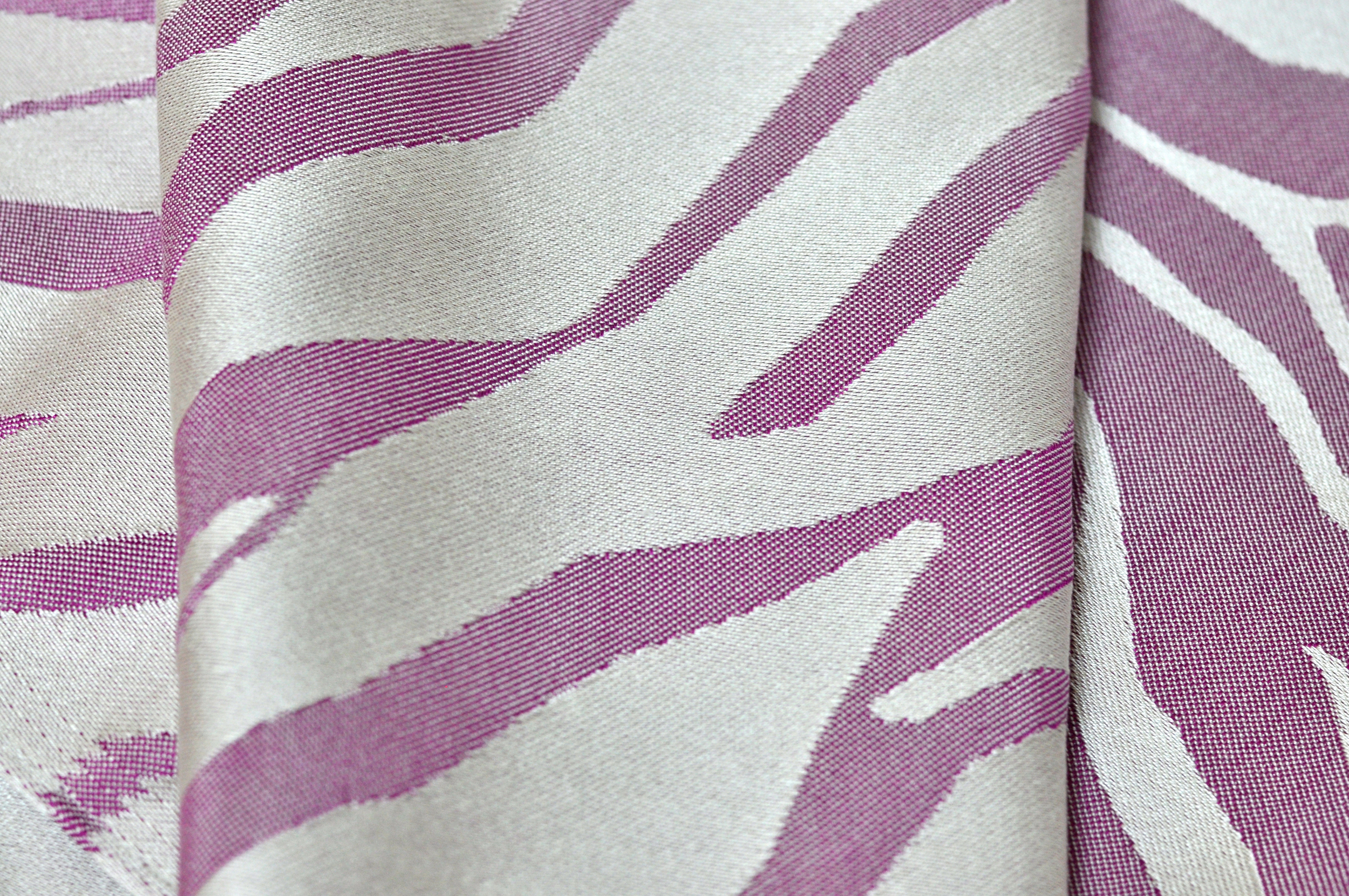 Zebra - 23.jpg