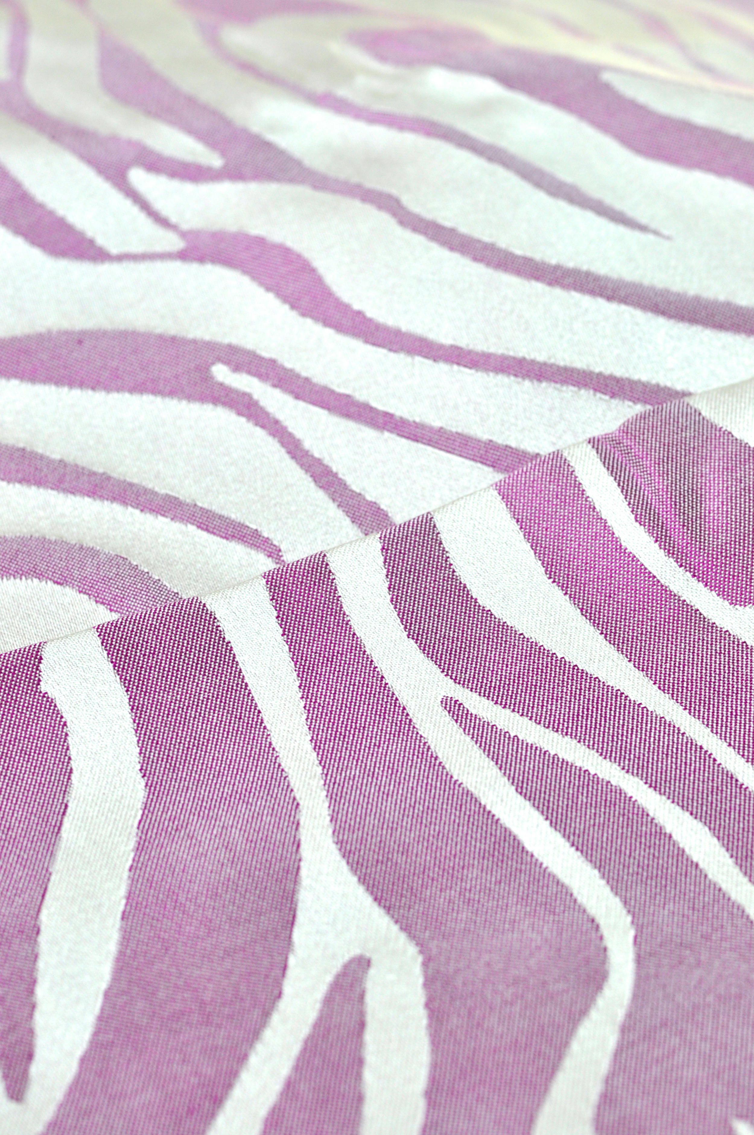 Zebra - 19.jpg
