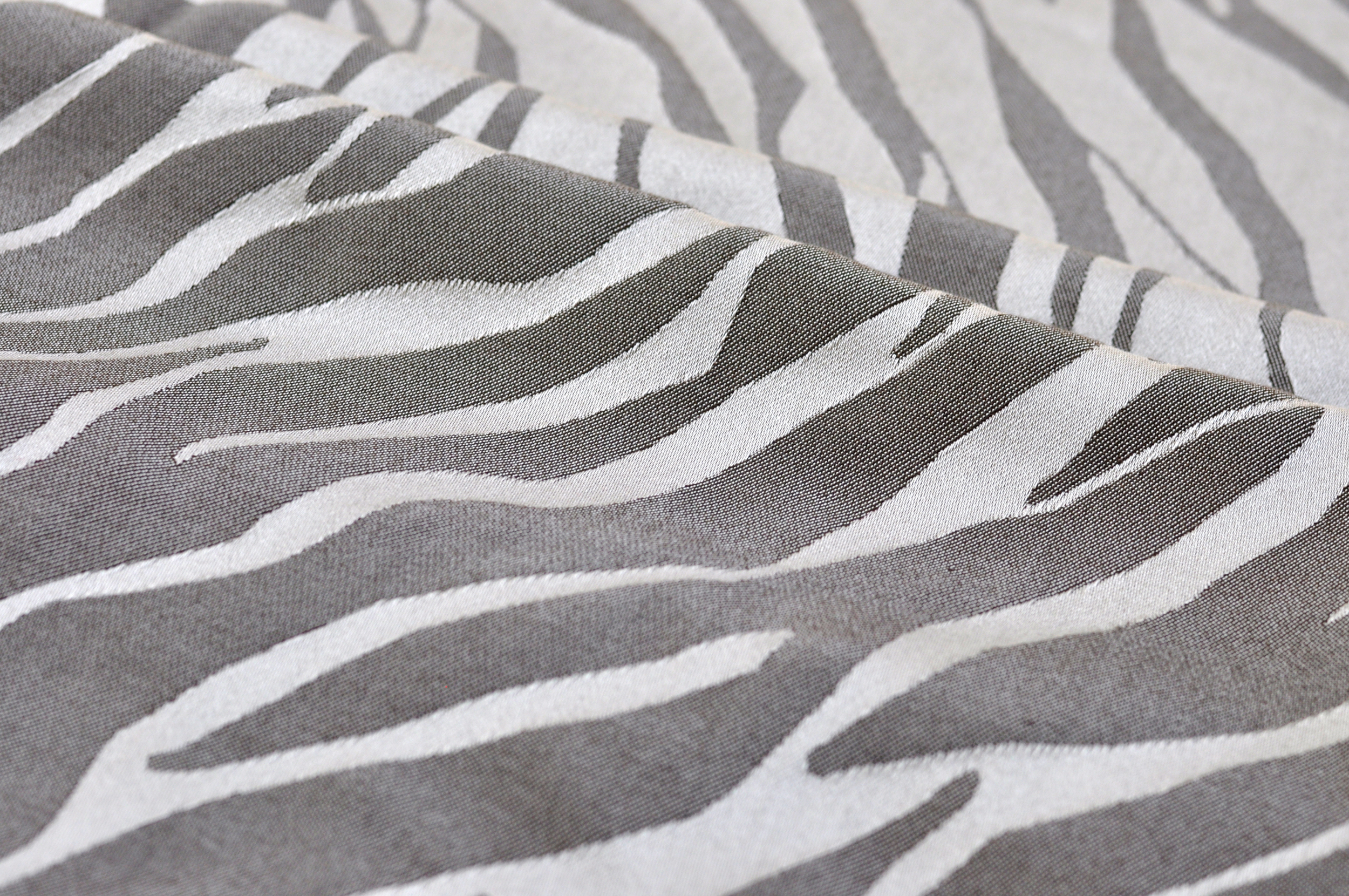 Zebra - 14.jpg