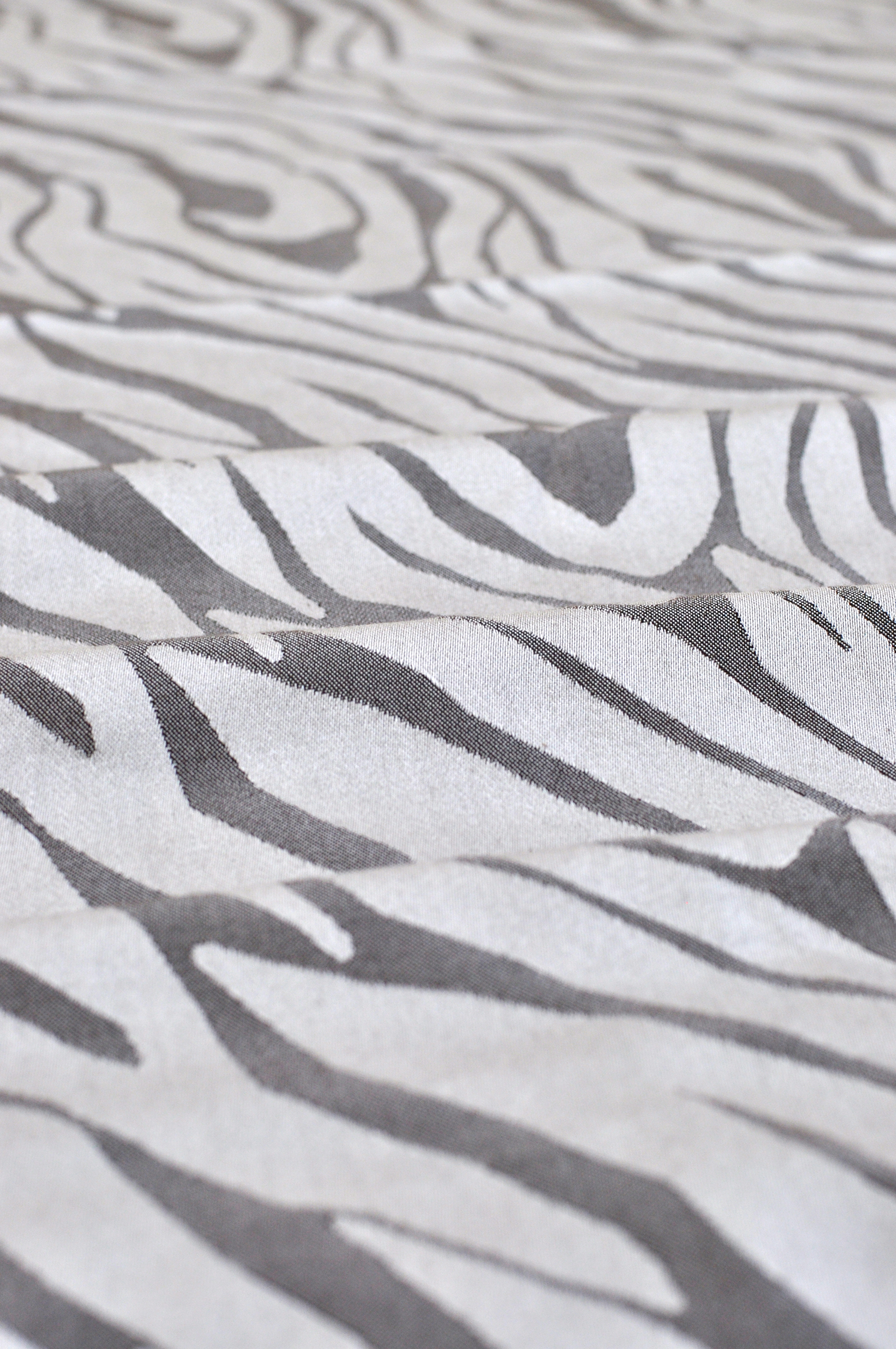 Zebra - 06.jpg