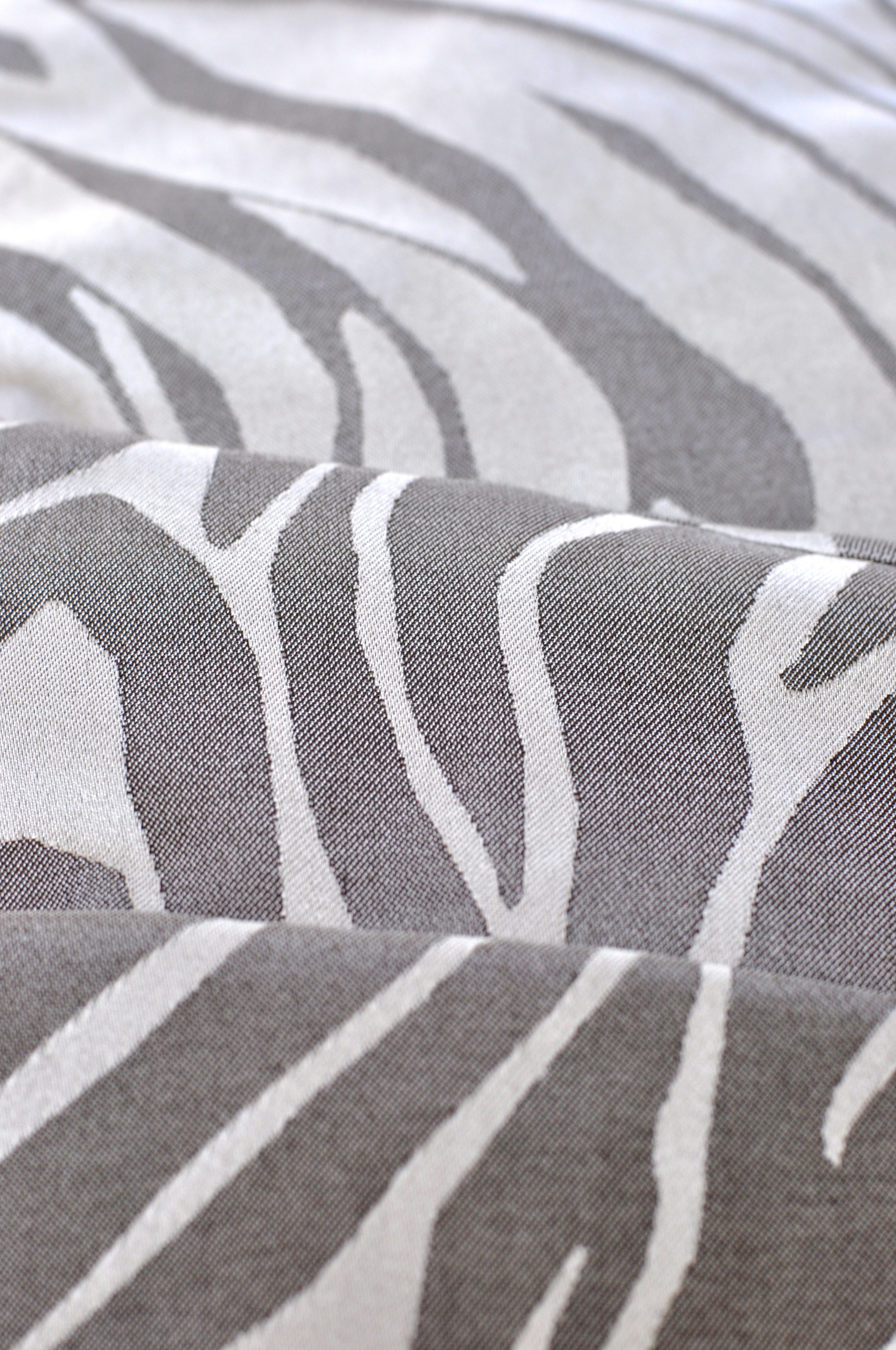 Zebra - 03.jpg