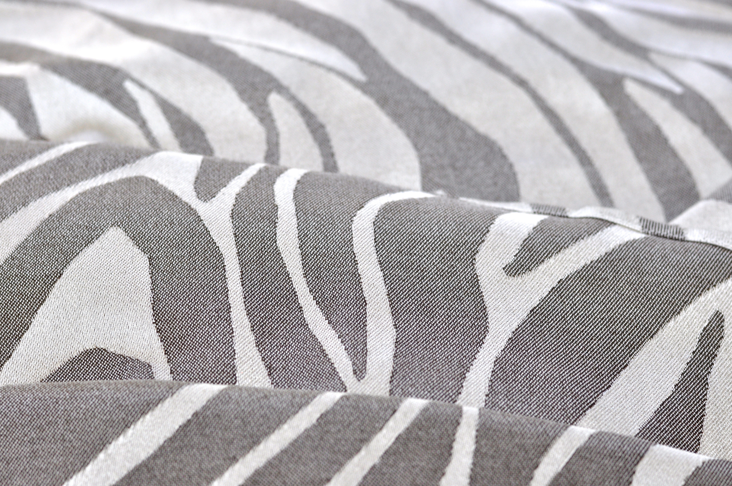 Zebra - 02.jpg