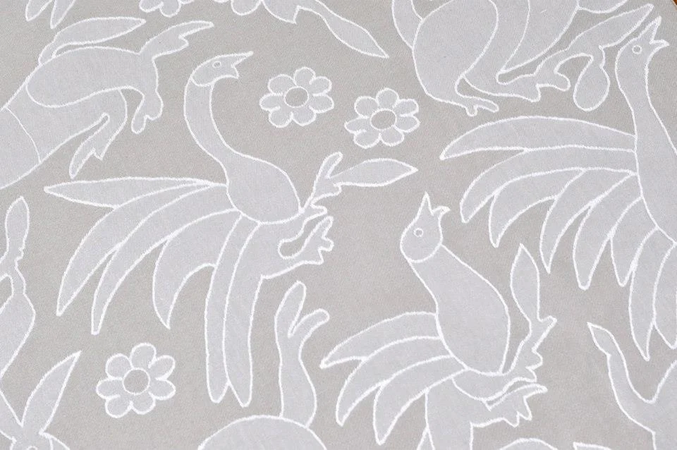 pavo otomi.jpg