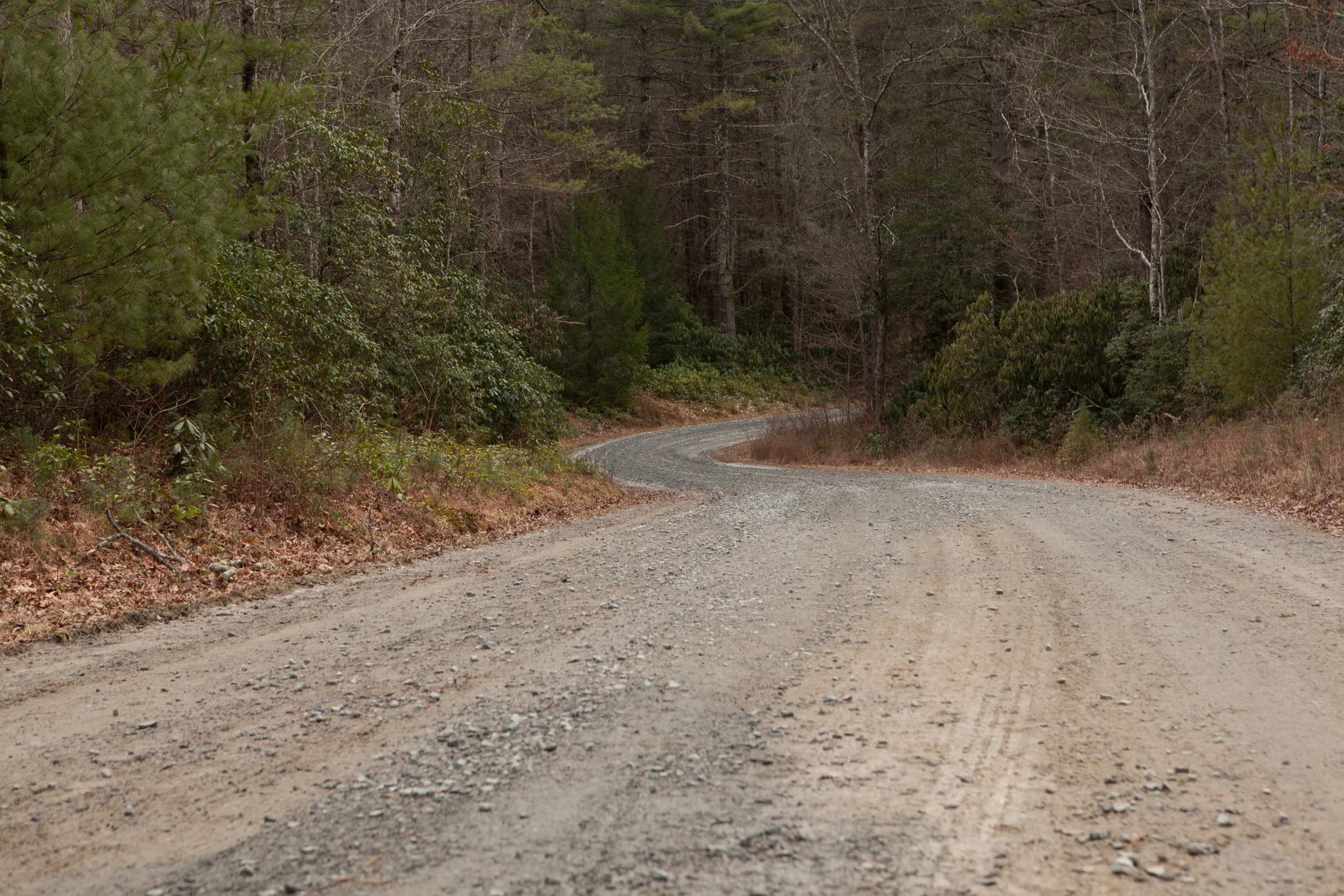 The Trail back. Photographer: John Puett.