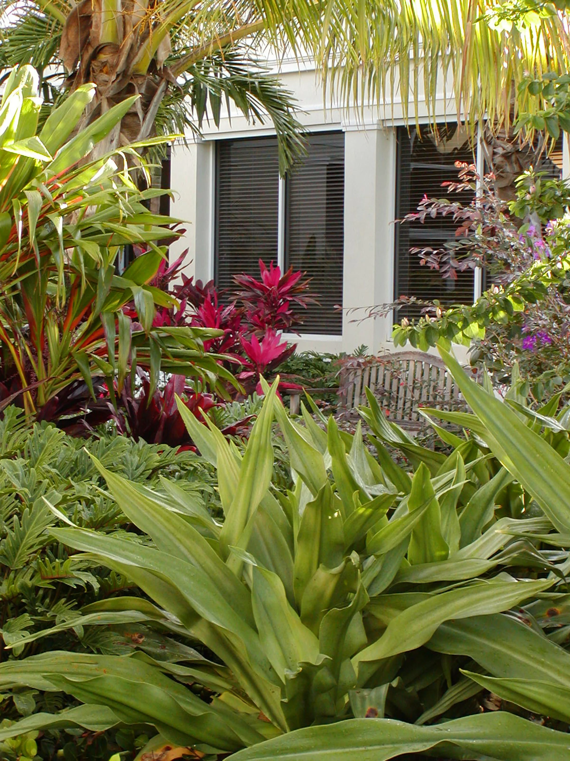 Gentile Holloway O'Mahoney Landscape Architects Planners Environmental Consultants Tropical Design.jpg