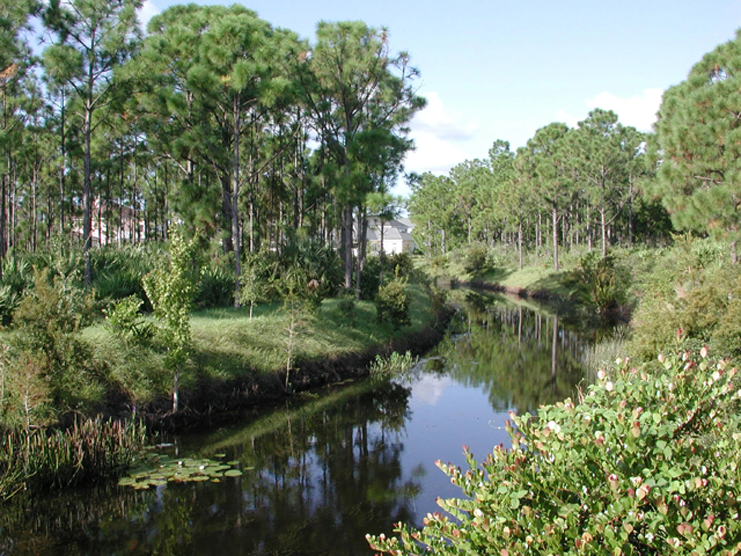 Abacoa Greenway Native Florda Planting.jpg