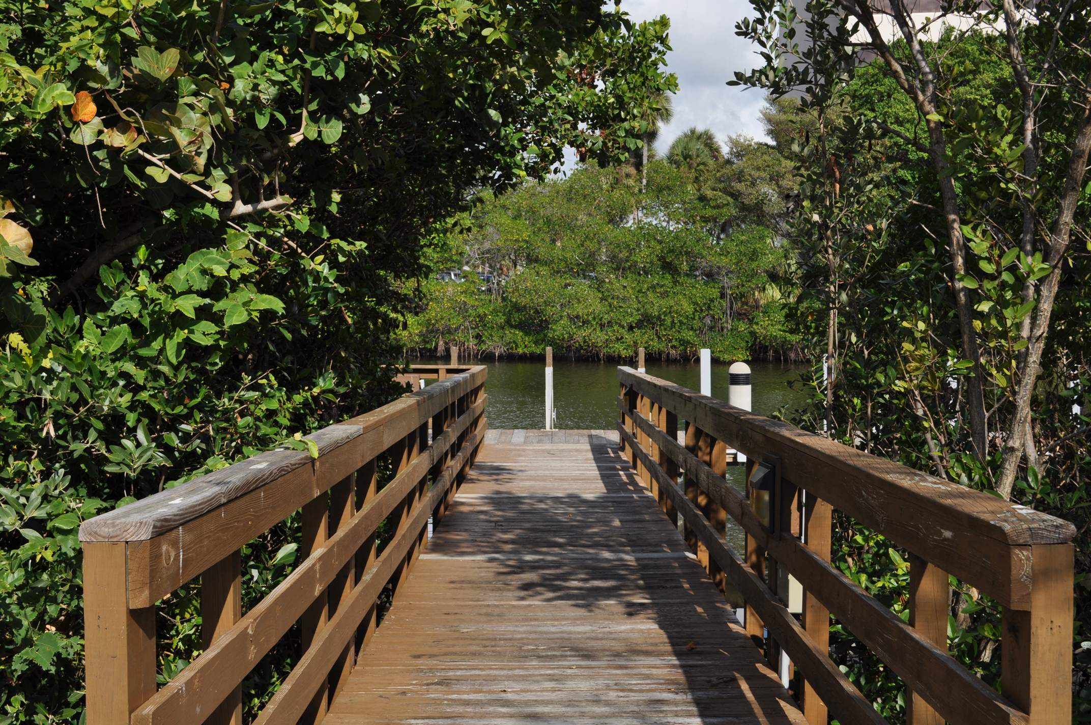 Burt Reynolds Park Palm Beach County Florida Boardwalk through Mangroves.JPG