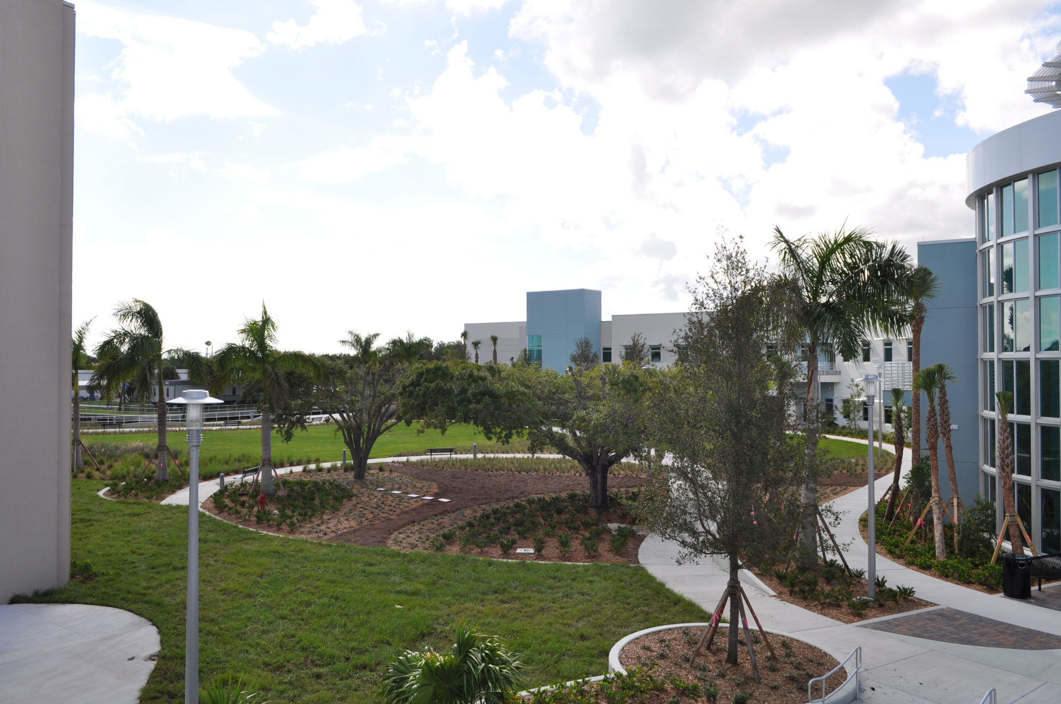 Harbor Branch Oceanographic Institute at FAU Research Laboratory II Courtyard Oak View.JPG