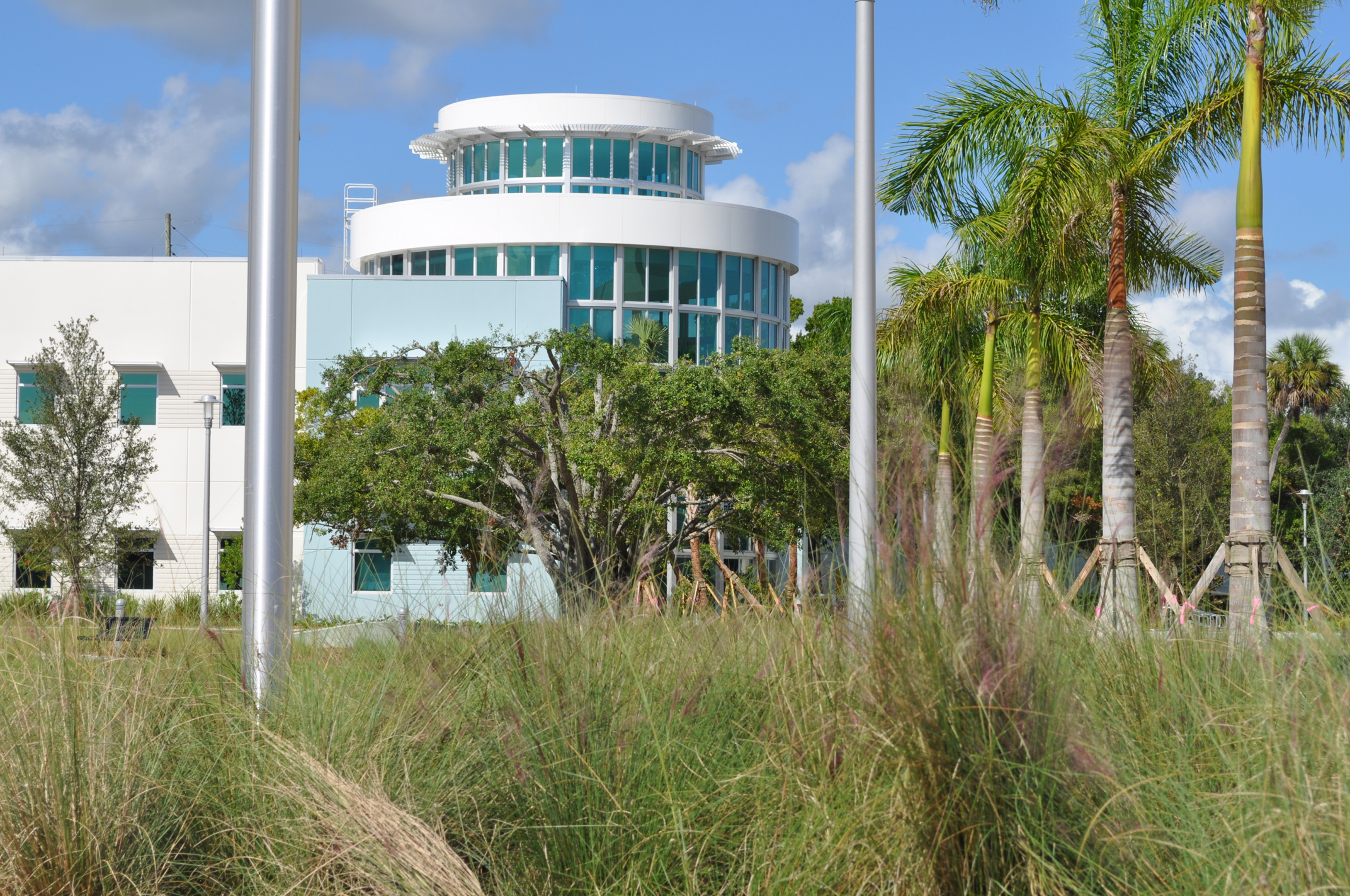 Harbor Branch Oceanographic Institute at FAU Research Laboratory II Native Florida Grasses Green Building LEED Silver.JPG