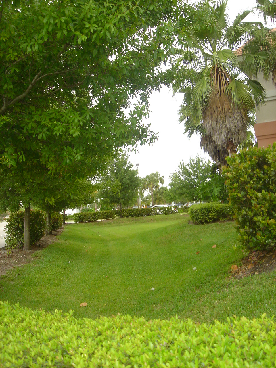 Loxahatchee Business Park Dry Retention.JPG