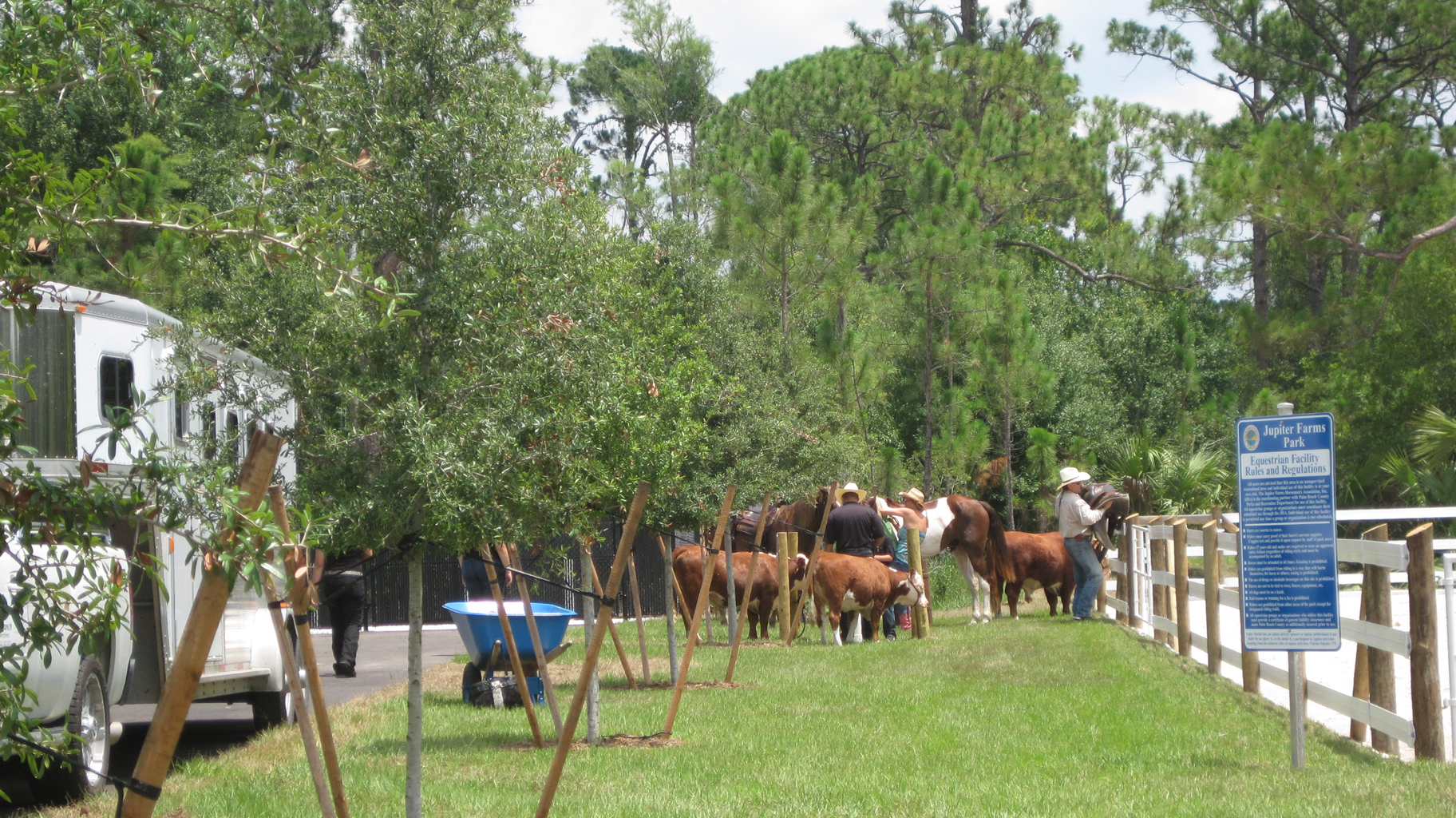 Palm Beach County Equestrain Facility Horse Enclosure.jpg