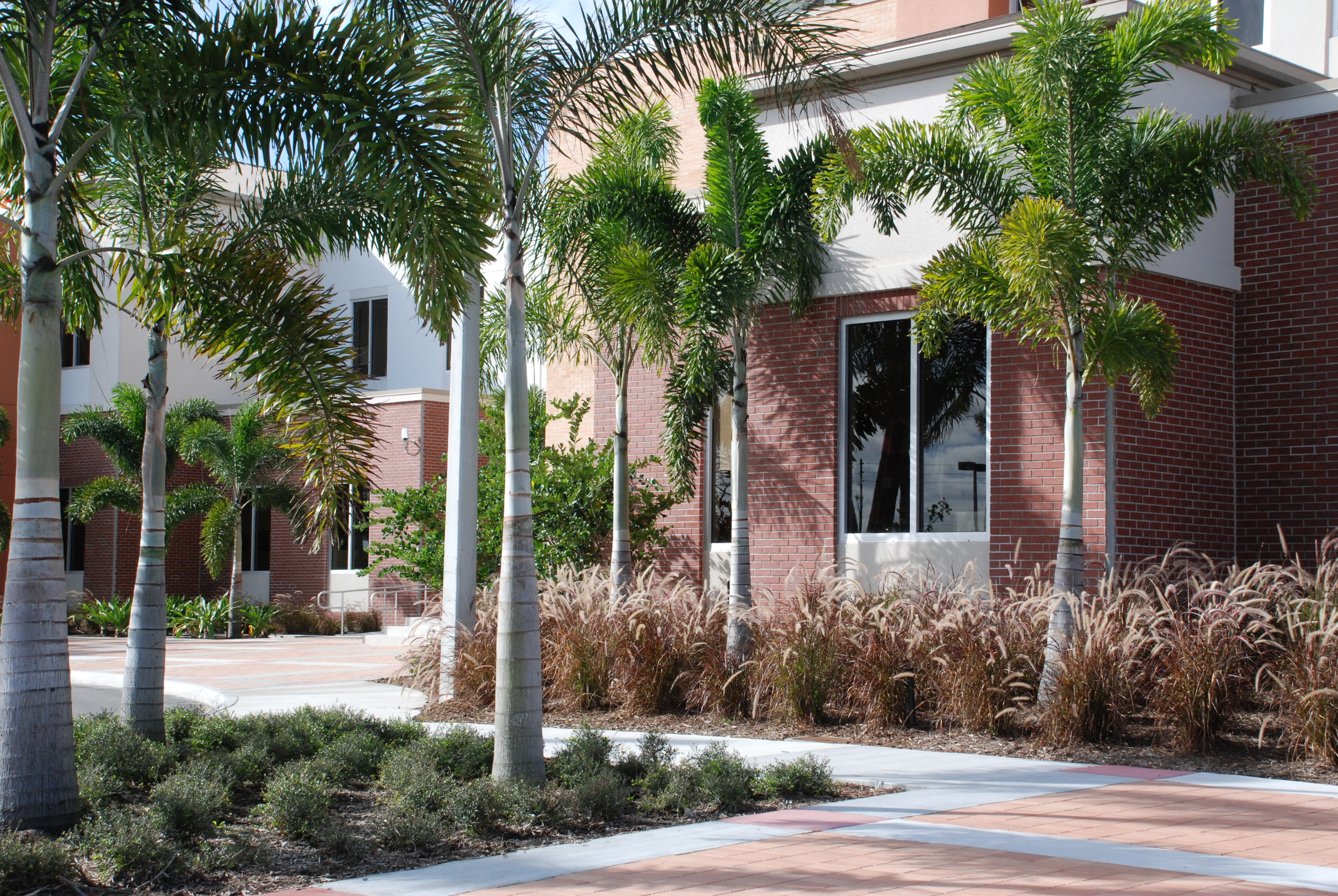 Palm Beach County Fire Rescue Training Facility Landscpaing.JPG